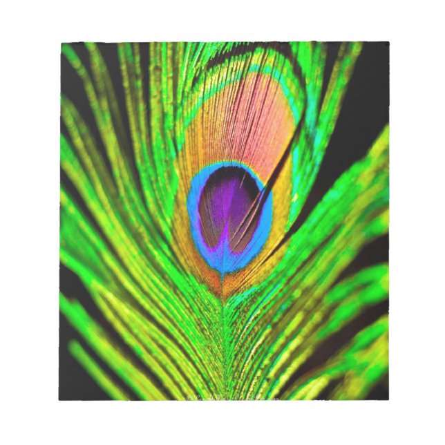 Neon Colours Peacock Feather Notepad (Front)
