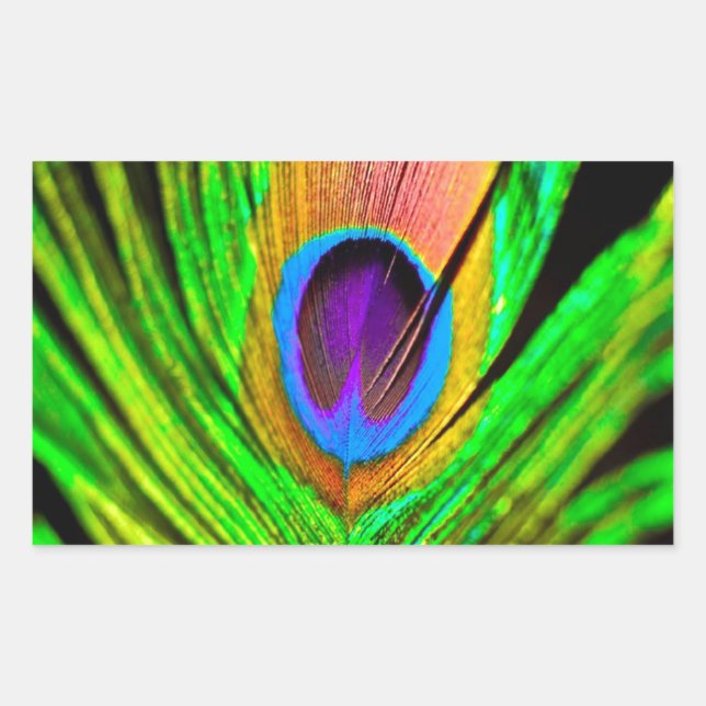 Neon Colours Peacock Feather Rectangular Sticker (Front)