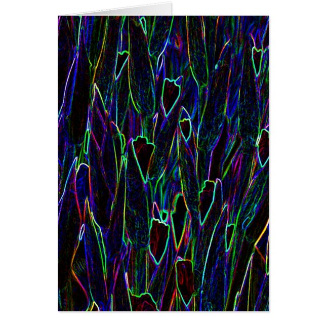 Neon Garden 3 (Front)