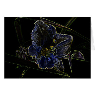 Neon Glow Daylily Flower