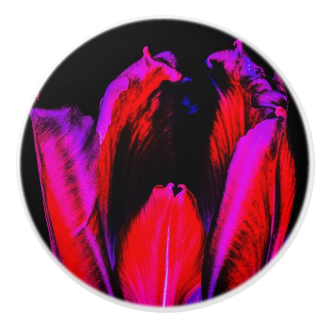 Neon Glow Tulip Ceramic Knob (Front)