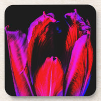 Neon Glow Tulip