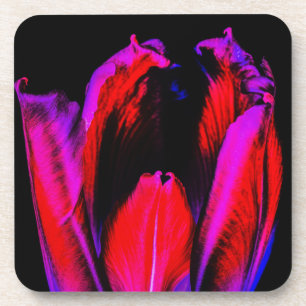 Neon Glow Tulip Coaster