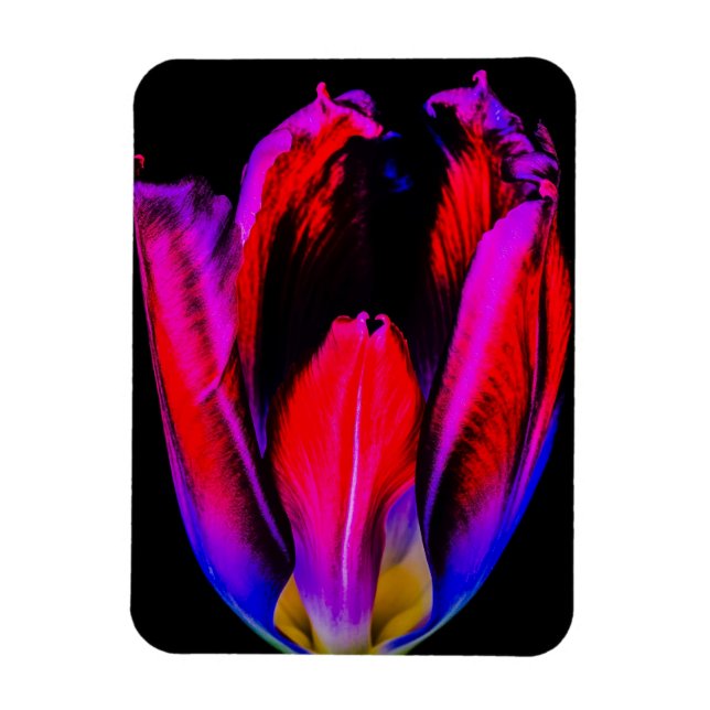 Neon Glow Tulip Magnet (Vertical)