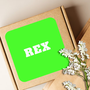 Neon Green and White Modern Name Pet Square Sticker