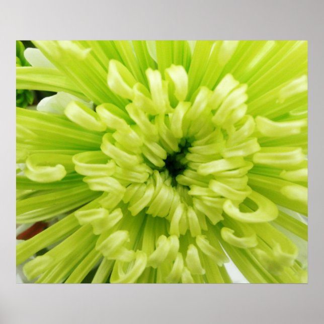 Neon Green Flower Football Mum Close Up Background Poster (Front)