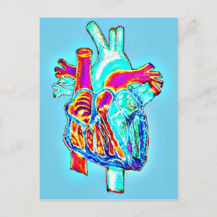 Neon Hand Drawn Anatomical Heart Postcard