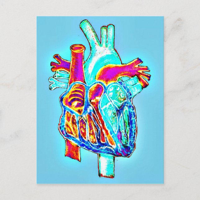 Neon Hand Drawn Anatomical Heart Postcard (Front)