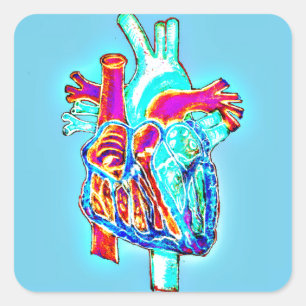 Neon Hand Drawn Anatomical Heart Square Sticker