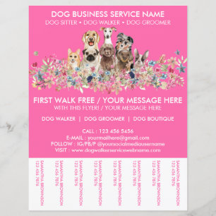 Neon Pink Breeds Dog Walker Service Flyer