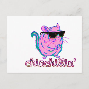 Neon Pink Chinchillin Chinchilla Postcard