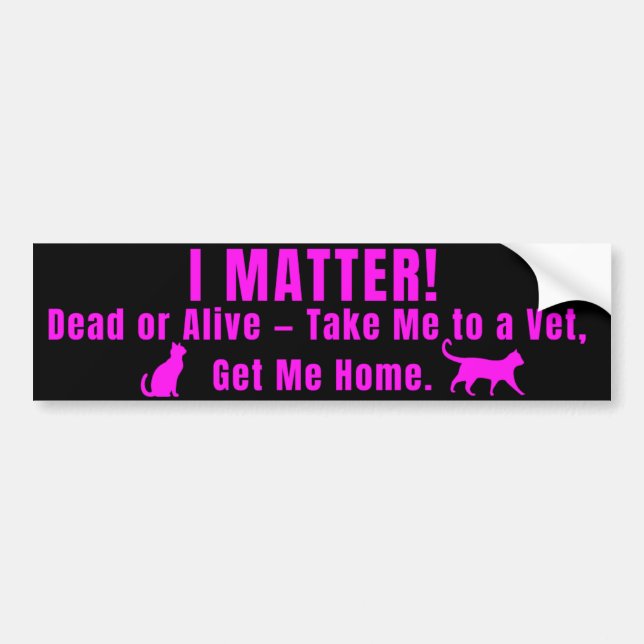 Neon Pink "I Matter" Bumper Sticker (Front)