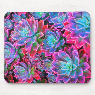 Neon pink Succulent plant Mouse Mat
