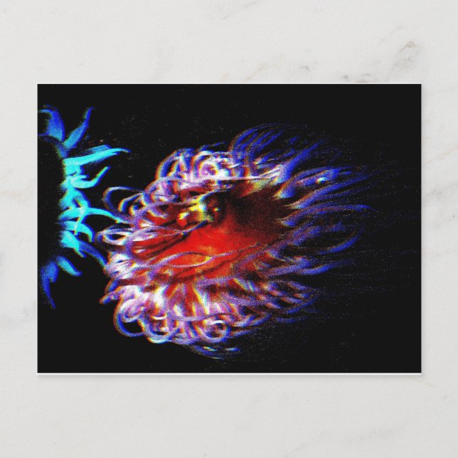Neon Sea Anemones Postcard (Front)