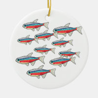 Neon Tetra