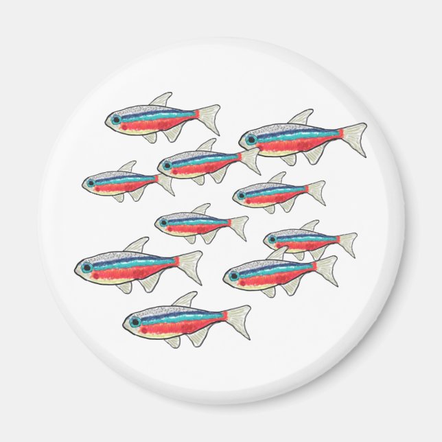 Neon Tetra Magnet (Front)