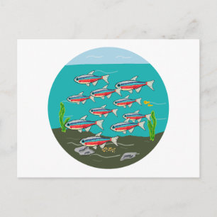 Neon Tetra Postcard