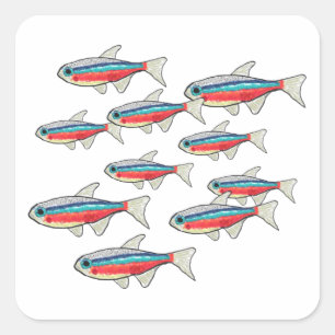 Neon Tetra Square Sticker