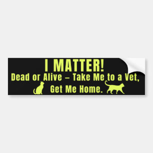 Neon Yellow "I Matter" Bumper Sticker