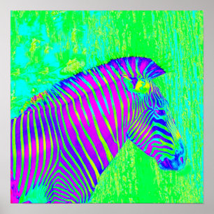 neon zebra - green,blue and purple retro poster