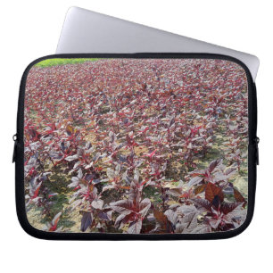 Neoprene Laptop Sleeve 10 inch