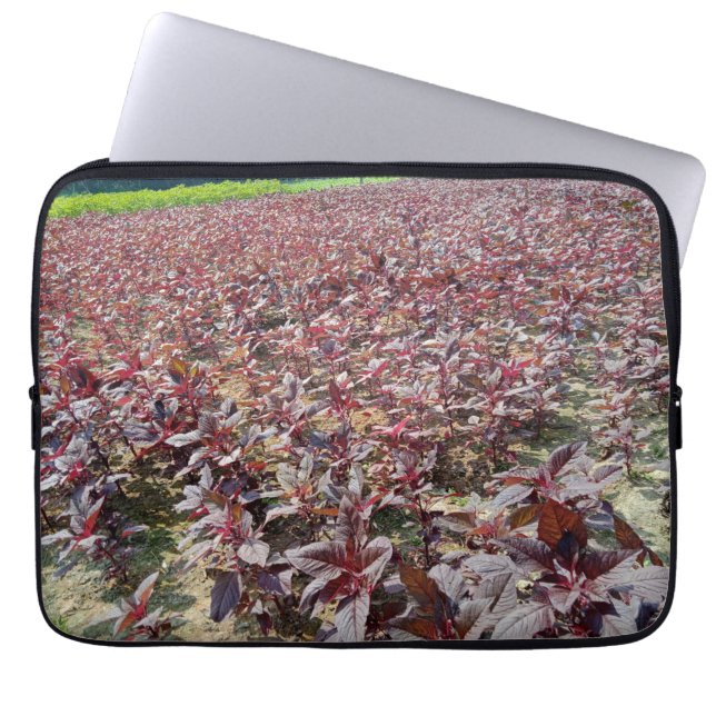 Neoprene Laptop Sleeve 13 inch (Front)