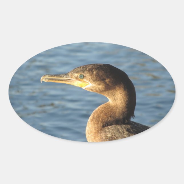 Neotropic Cormorant Oval Sticker (Front)