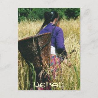 Nepal greetingcard postcard