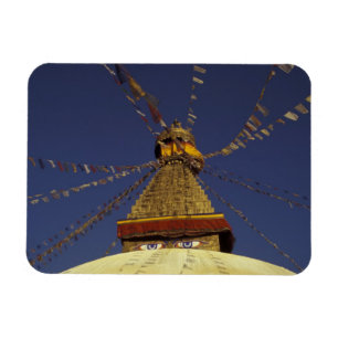 Nepal, Kathmandu. Under prayer flags, watchful Magnet
