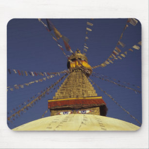 Nepal, Kathmandu. Under prayer flags, watchful Mouse Mat