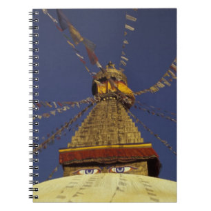 Nepal, Kathmandu. Under prayer flags, watchful Notebook