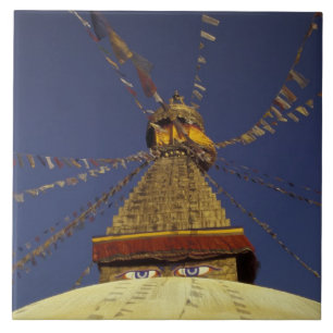 Nepal, Kathmandu. Under prayer flags, watchful Tile