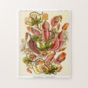 Nepentheceae carnivorous pitcher plant  jigsaw puzzle