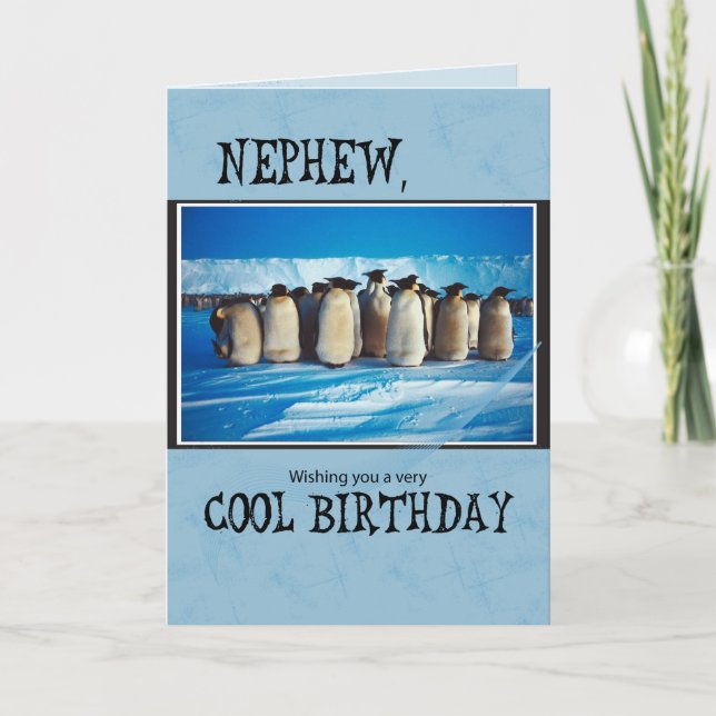 Nephew Birthday, Penguins Card (Front)