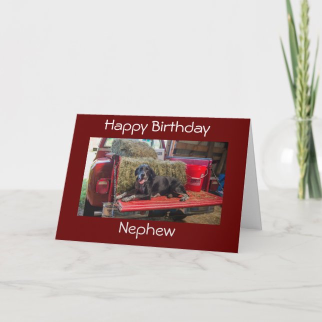 ***NEPHEW*** HAPPY BIRTHDAY CARD (Front)