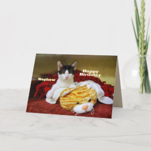 Nephew Happy Birthday Kitten with Toy Tiger Card