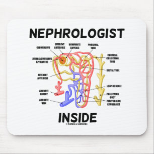 Nephrologist Inside Kidney Nephron Mouse Mat