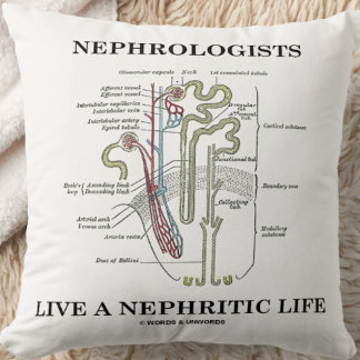 Nephrologists Live A Nephritic Life (Nephron) Cushion