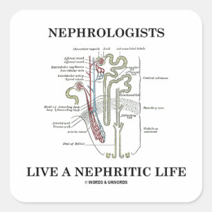 Nephrologists Live A Nephritic Life (Nephron) Square Sticker