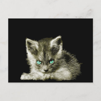 Nephry Postcard