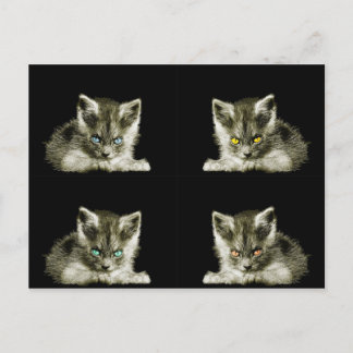 NephryS Postcard