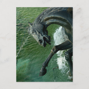 Neptune Fountain, Washington DC Postcard