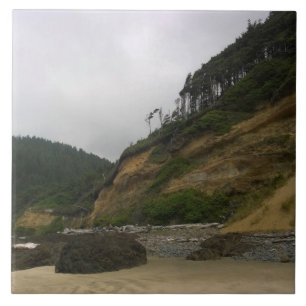 Neptune State Park, OR Tile