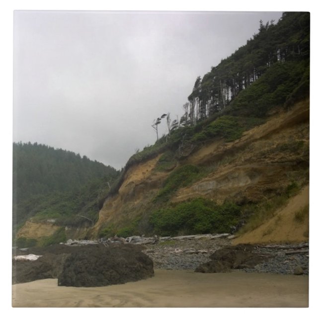 Neptune State Park, OR Tile (Front)