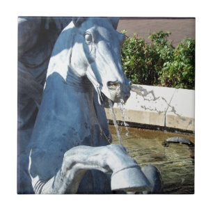Neptune's Horse, Plaza Fountain Detail Tile