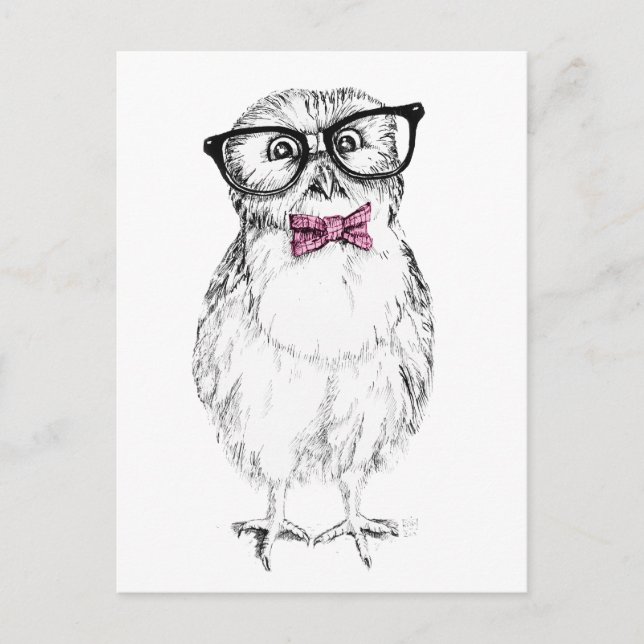 Nerdy Owlet small and smart   ink drawing Postcard (Front)