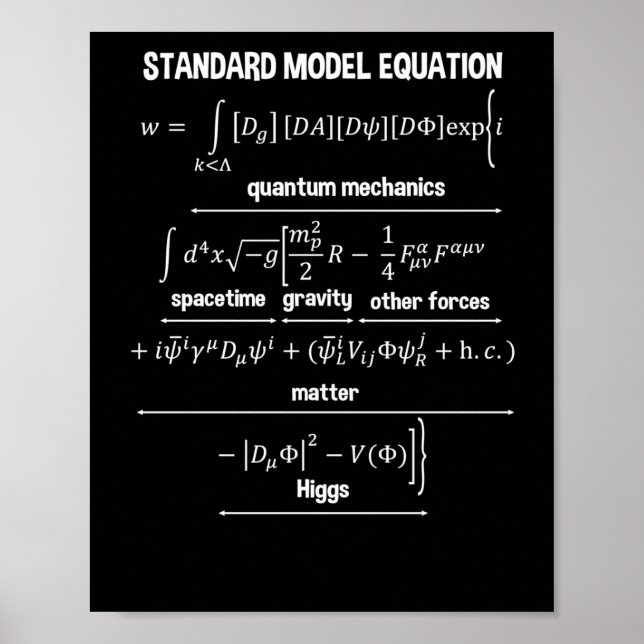 Nerdy Standard Model Equation – Gift For Physics1  Poster (Front)