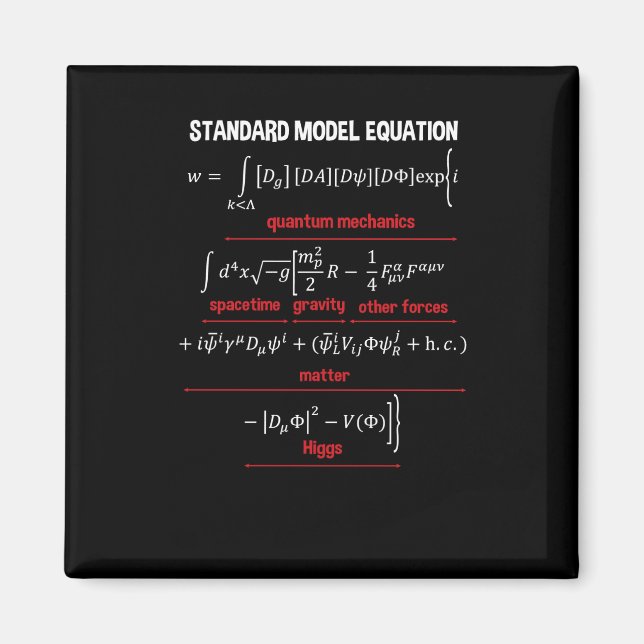 Nerdy Standard Model Equation – Gift For Physics2  Magnet (Front)