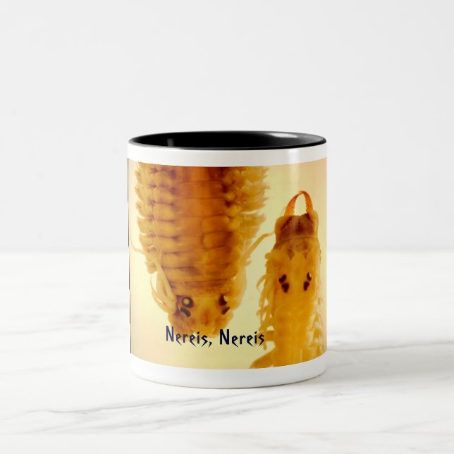 Nereis, Nereis Mug (Center)