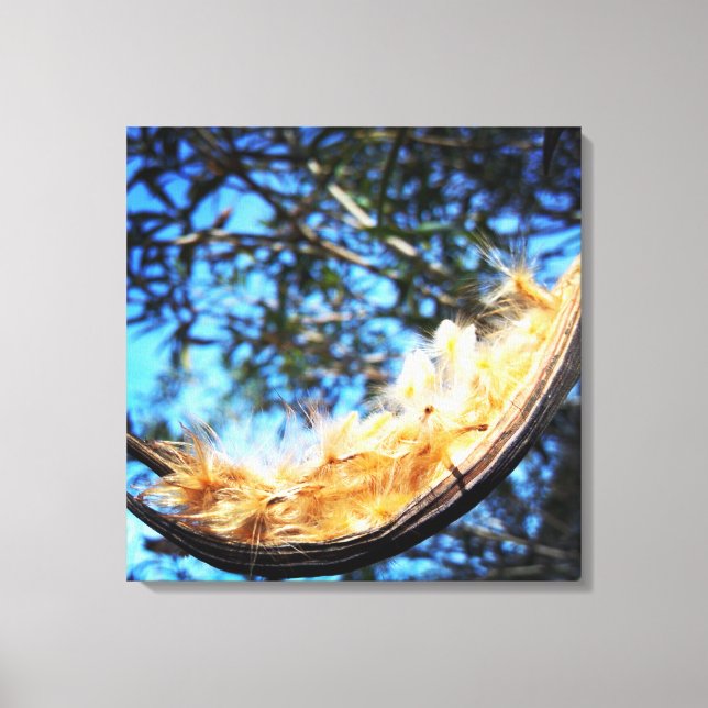 Nerium Oleander Gallery Stretched Canvas Print (Front)